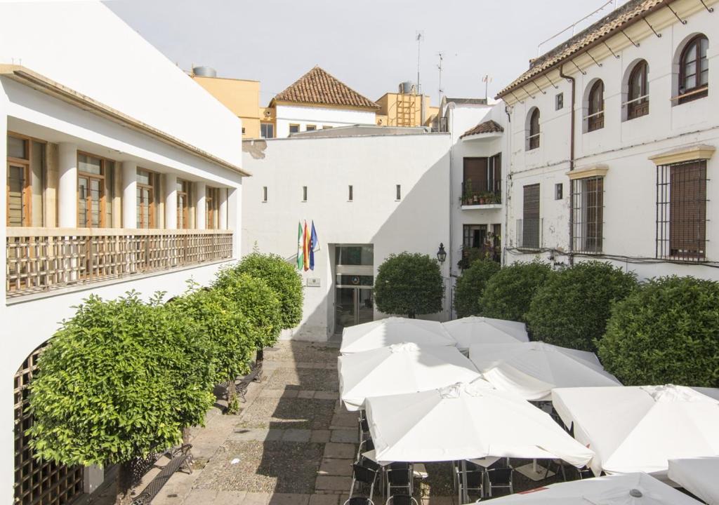 Jewish Quarter Hostel | Albergue Inturjoven Córdoba