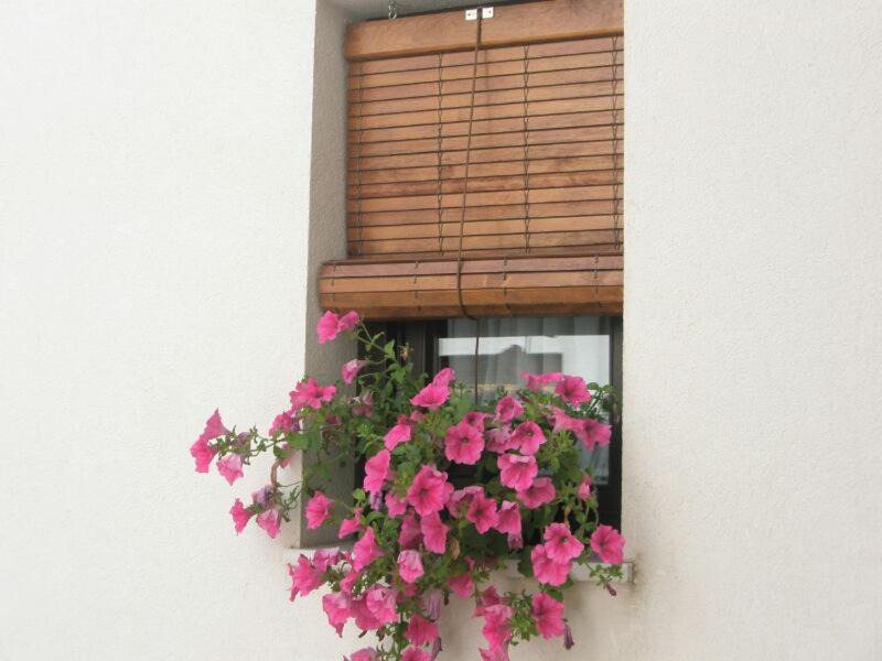 San Francisco-Ribera Apartment | Apartamentos La Ribera Córdoba