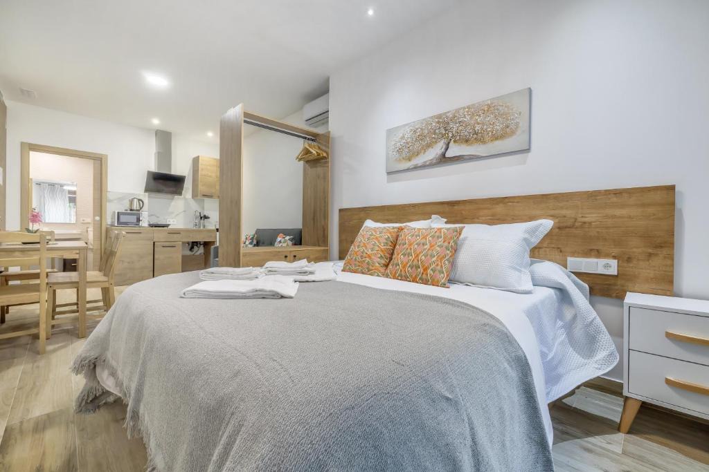 San Pedro Apartment | Apartamentos Toril