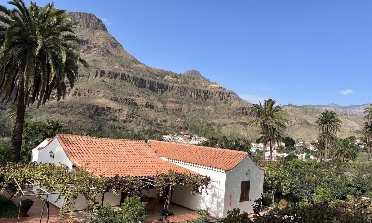 San Bartolome de Tirajana House | Beautiful and Quiet House Between Palms With Fruit Field