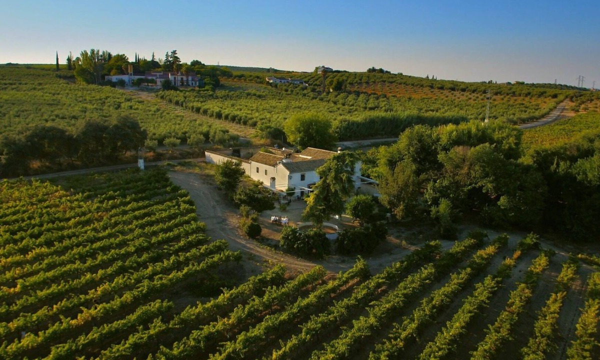 Montilla Cottage | Boutique winery with private pool, BBQ and Wifi Ideal for family relaxation.