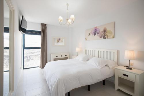 Bahia Calma Apartment | Cardon Big Calm 15