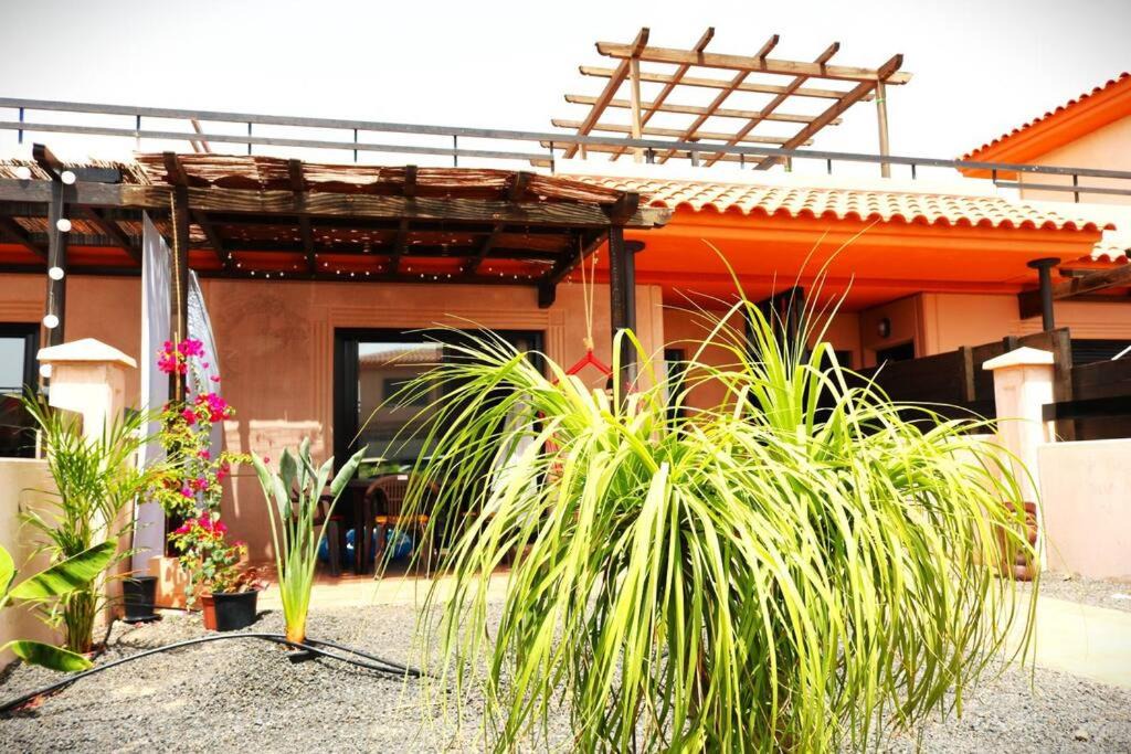 La Oliva Villa | Casa 861 en Origo Mare
