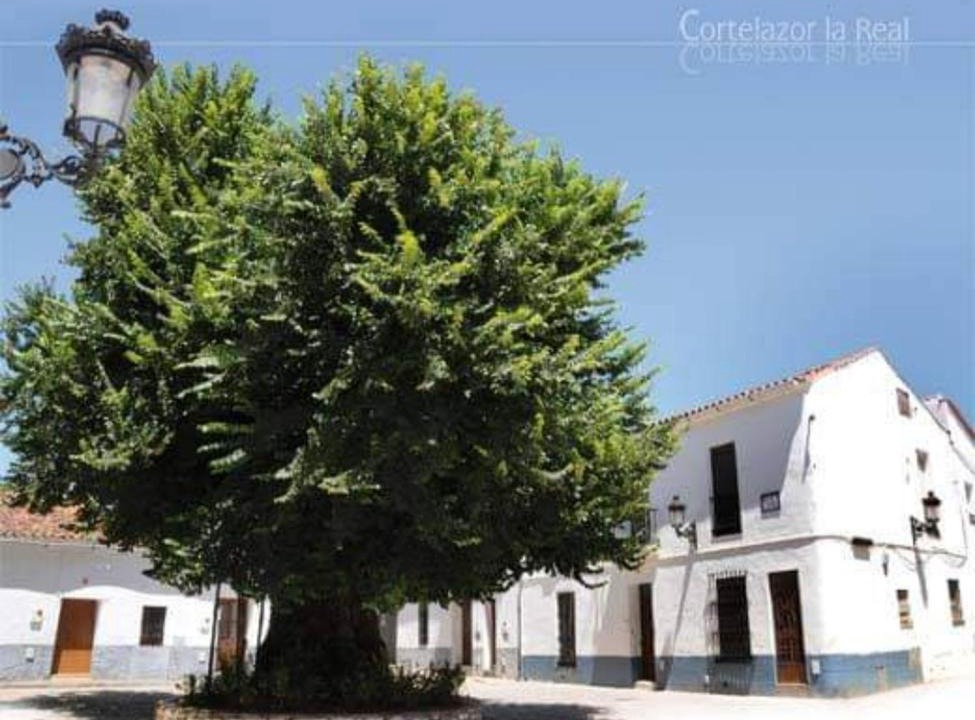 Cortelazor House | Casa coro