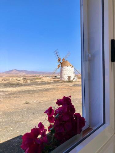 Valles de Ortega Apartment | Casa Lucilita