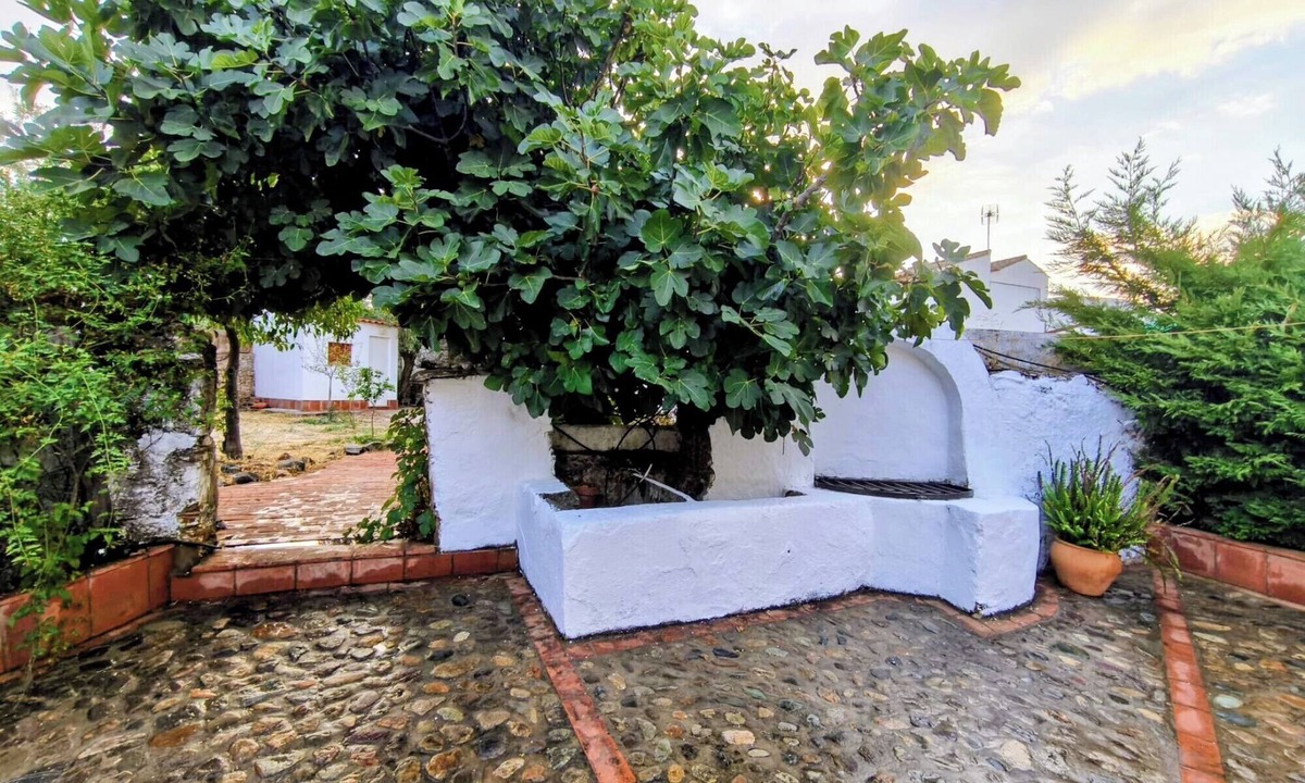 Campofrio Cottage | El Corral de la Higuera. Rural house in Campofrio, between Aracena and Riotinto.