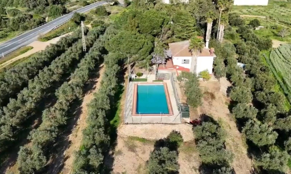 Niebla House | Finca El Palmar: Nature, swimming pool, barbecue in the countryside