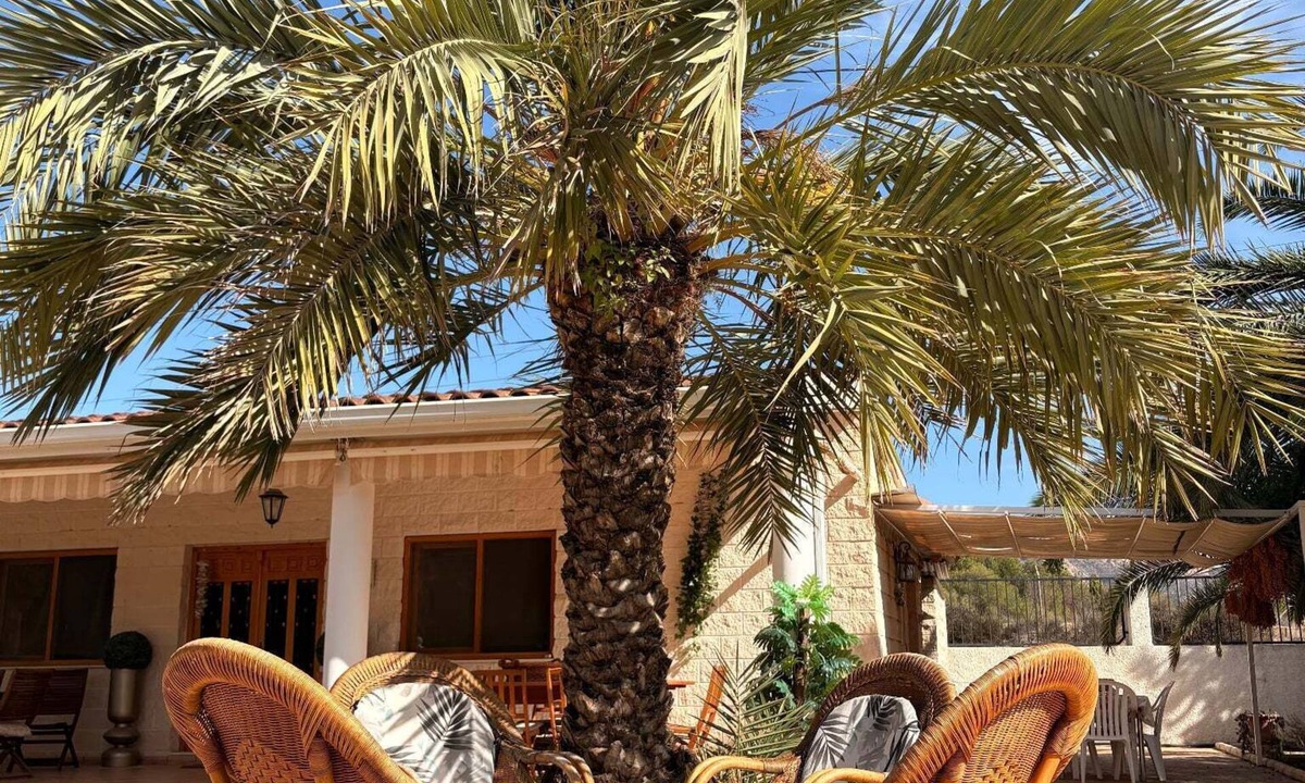 Elda House | Finca for events (family reunions, birthdays, weddings, seminars.)