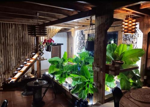 Macher Apartment | Finca Lucía - Las Buganvillas