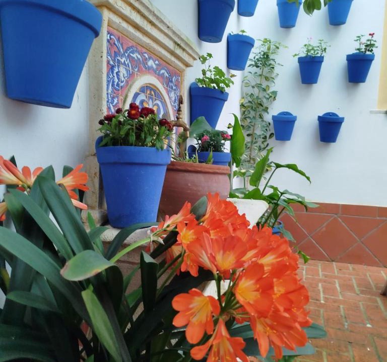 Santiago Hotel | Hotel La Ribera