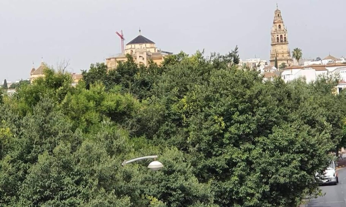 Santiago House | House on the banks of the river, next to the Mosque.