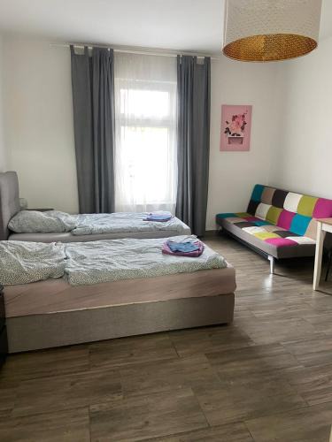 Franzosisch Buchholz Apartment | Nice and comfortable studio in Pankow