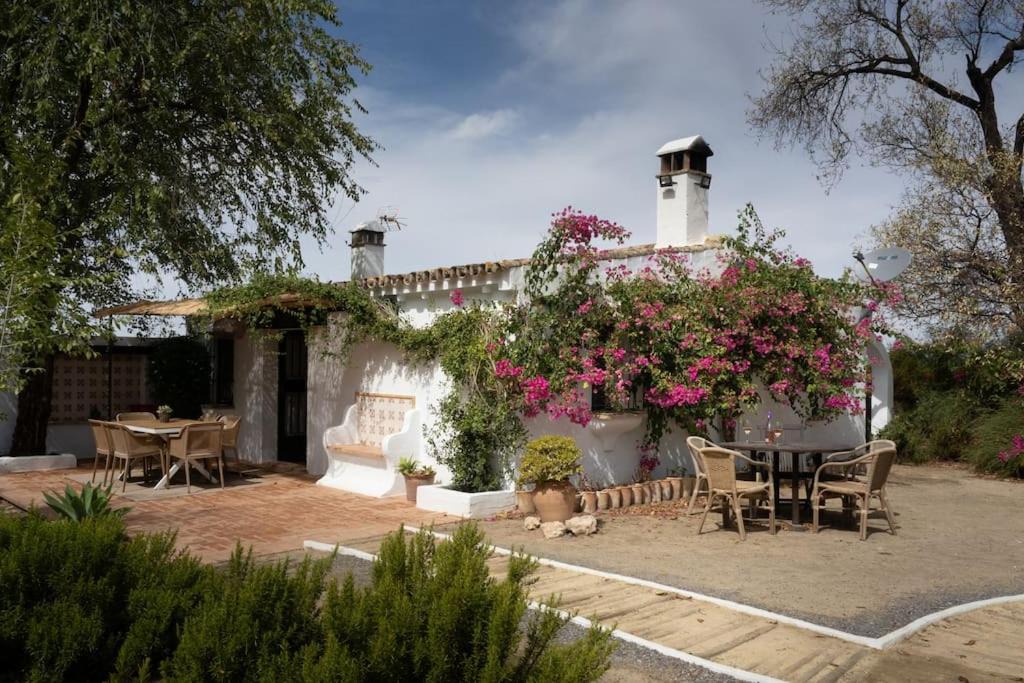 Montellano House | Ranchito de Alhucemas,piscina privada y barbacoa