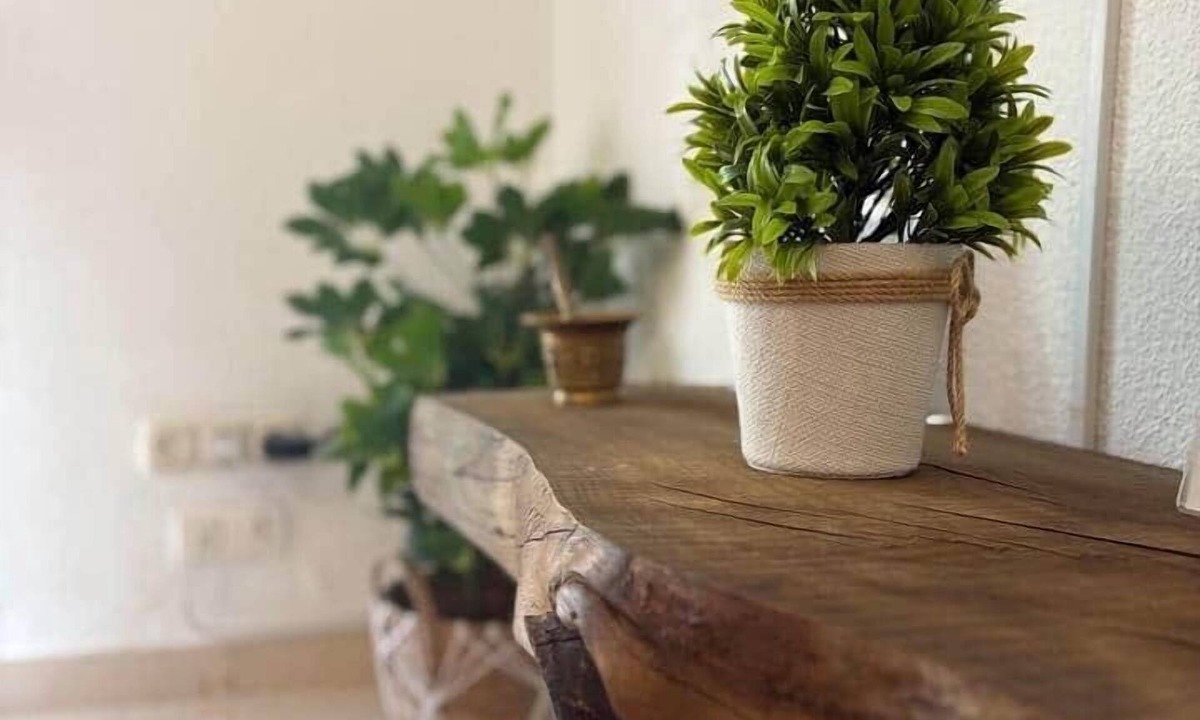 Ciudad Jardin Apartment | Rincón de Carmen