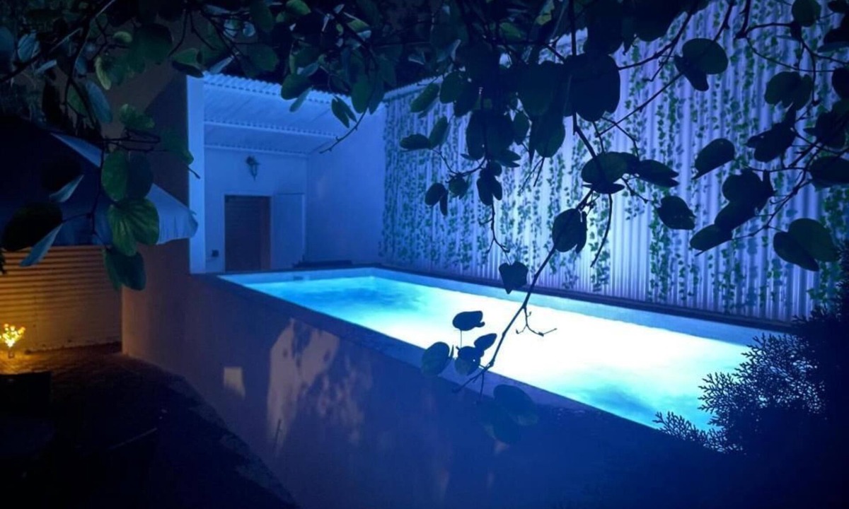 Aznalcazar Apartment | Rural apartment with garden, barbecue and private swimming pool.