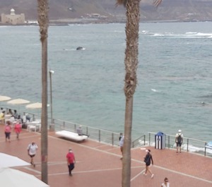 Apartamento Frente Al Mar 