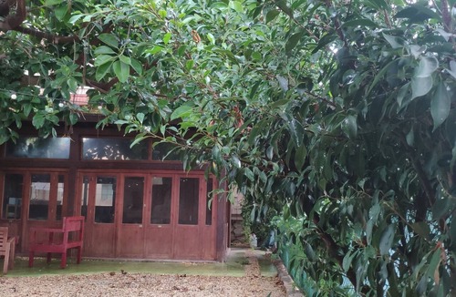 Cabo de las Huertas House | A unique house with a garden, very close to the beach