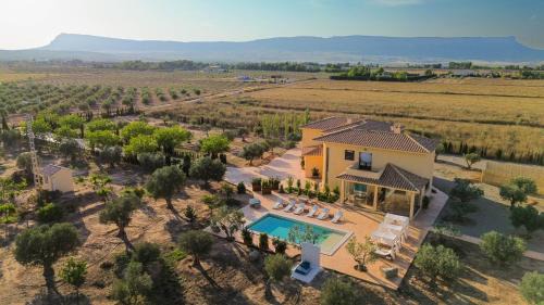 Almansa House | Agroturismo Casa Saladarejo de los Olivos