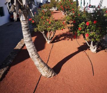 Playa Blanca Apartment | Apartamento Anaca