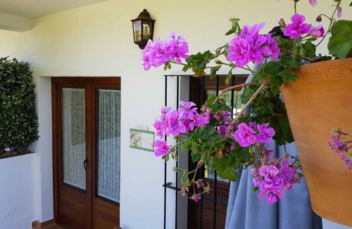 Aracena Apartment | Apartamento