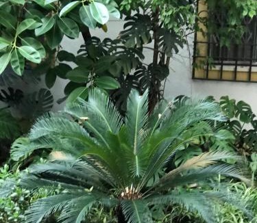 San Miguel-Capuchinos Apartment | Apartamento las doblas , parking gratis