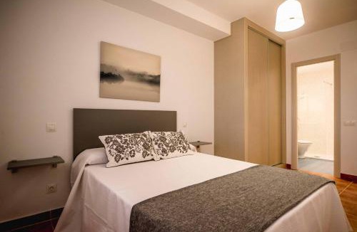 Toledo Apartment | Apartamentos AL PASO DE TOLEDO, Puy du Fou a 10km