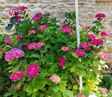 Cingoli Bed & Breakfast | B&B La Chioca