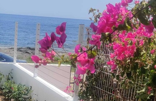 Cala Panizo House | Beachfront house, in front of the sea, in a quiet village - Wifi
