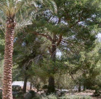 Sant Josep de sa Talaia Villa | Beautiful 1 hectar property near Cala Jondal