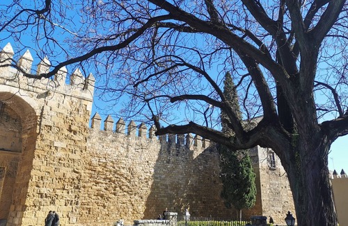 Jewish Quarter Condo | Beautiful view