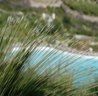 Adsubia Bed & Breakfast | Bed and Breakfast La Ruta Naranja