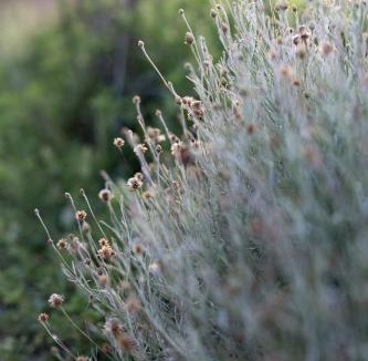 Adsubia Bed & Breakfast | Bed and Breakfast La Ruta Naranja