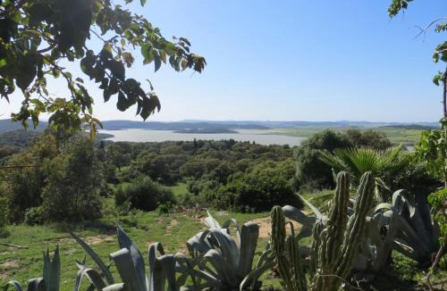 Medina-Sidonia House | Casa Alvarianes