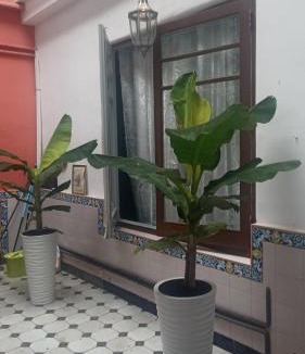 Gandia Villa | Casa Artistica Alojamiento entero.