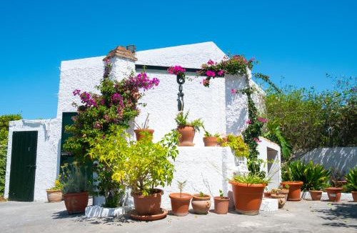 Barbate Apartment | CASA BUGANVILLA