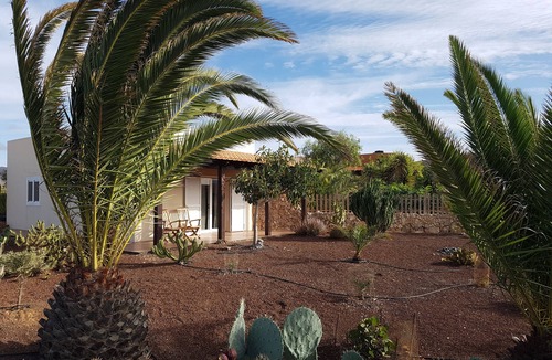 Antigua House | Casa de Marcial · Private Pool Among Olive Trees