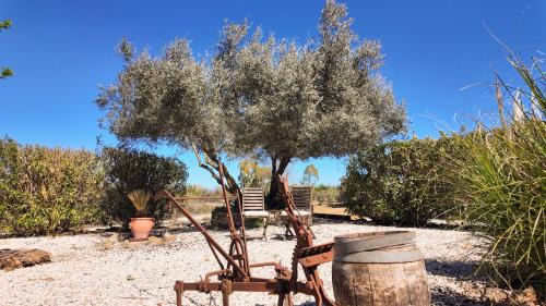 Villanueva de Tapia Bed & Breakfast | Casa La Alegria 37