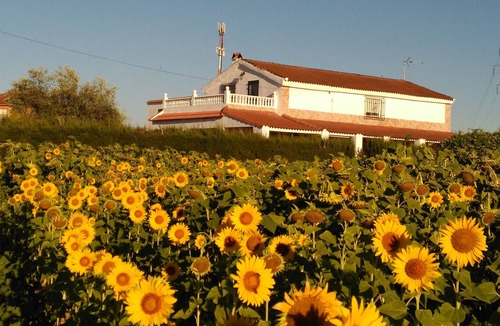 Cordoba House | CASA LOS GIRASOLES Magnificent house to enjoy a great vacation