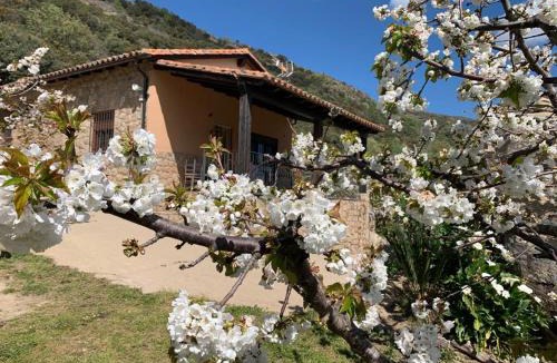 El Torno House | Casa Rural Canchal Madroñeras *