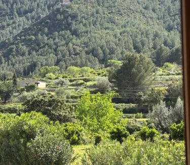Carricola House | Casa Rural Carricola