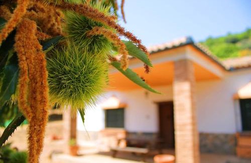 Cartajima House | Casa Rural Molino de la Máquina
