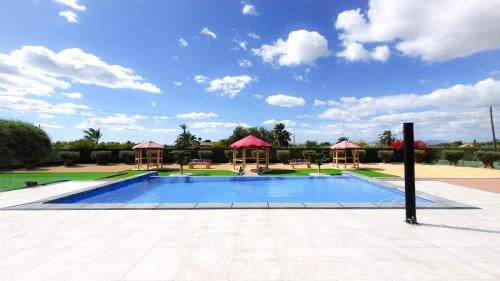 Elche House | casadelfenix