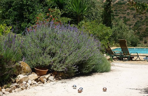 Algarinejo Cottage | Casita Perdiz at Cortijo las Rosas - Peace & Tranquility in the Olive Groves