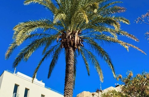 San Anton Apartment | Central Alicante Apart | Walk to the Beach
