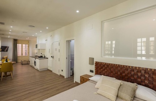 Malaga Historic Centre Apartment | Chinitas 17 IIi - iloftmalaga