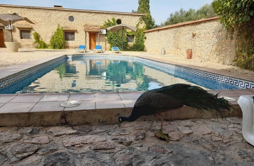 Humilladero Cottage | Cortijo Ferradores 3