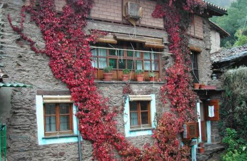 Robledillo de Gata Apartment | Cozy apartment in Robledillo de Gata, 45 m² with garden view