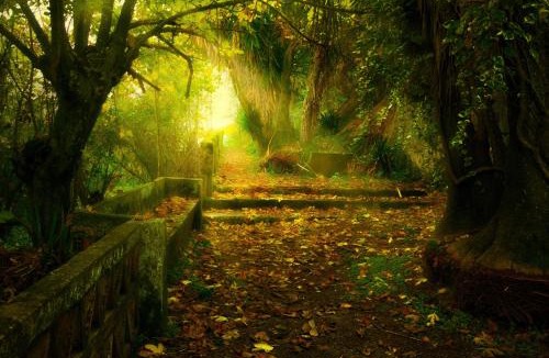 Hornachuelos House | Ctro de Naturaleza Cañada Verde "Descubre la Magia de El Bosque Encantado de Córdoba"