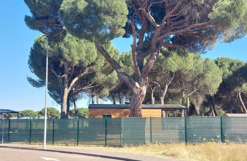 Aldeamayor de San Martin Ski Chalet | Disfruta de la tranquilidad del pinar muy cerca de Valladolid