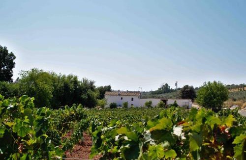 Montilla Villa | Elegant Villa in Montilla with Private Pool